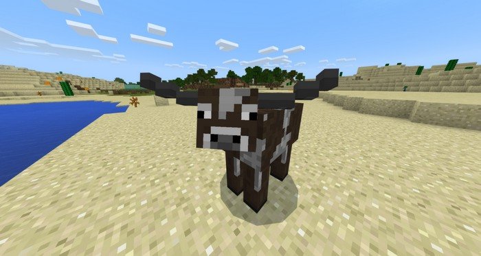 Cow