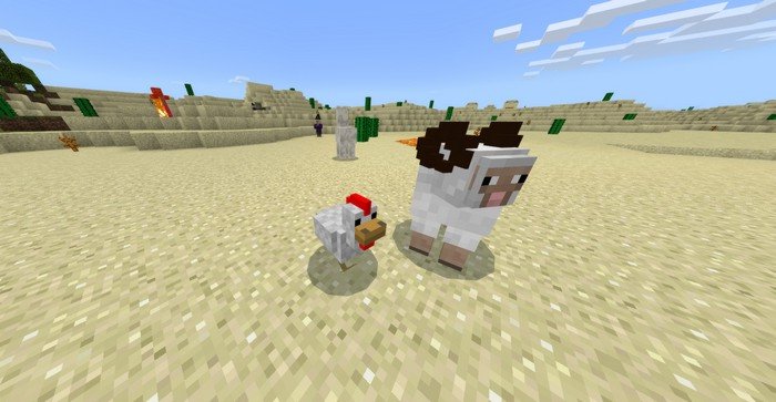 Sheep and Chicken