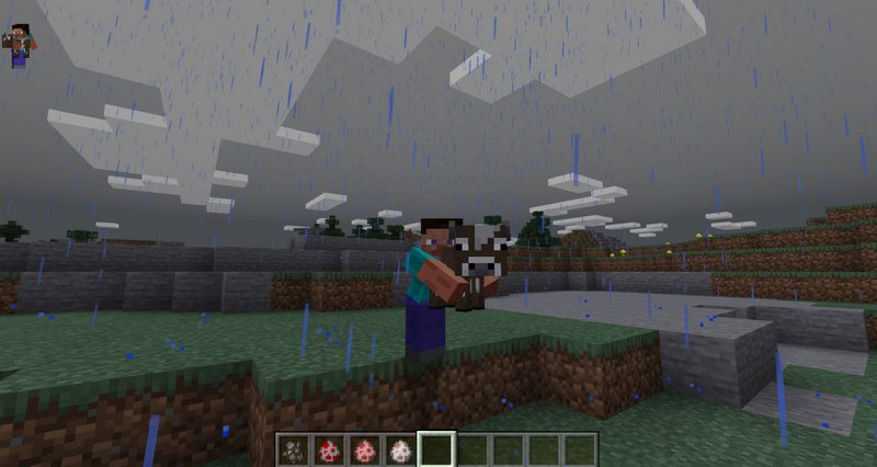 Carry Animals addon for Minecraft PE 1.14.60