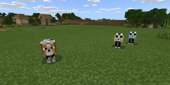 More Wolves addon for Minecraft PE 1.16.1