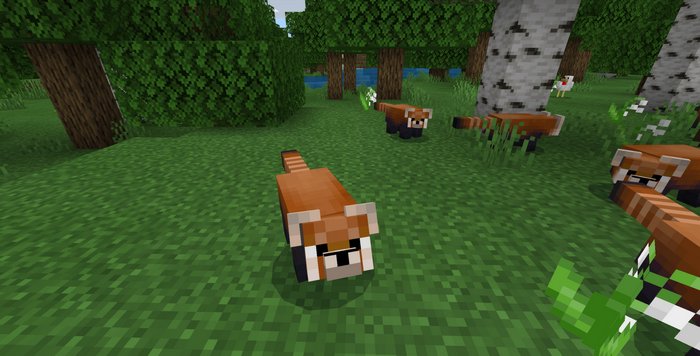 Red Pandas addon for Minecraft PE 1.16.20