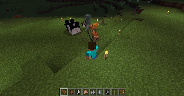 Mobs Leash addon