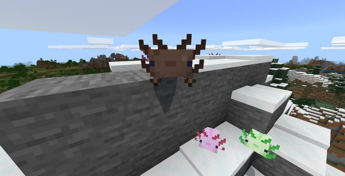 Axolotl addon for Minecraft PE 1.16.40