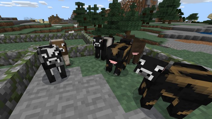 Cow variants