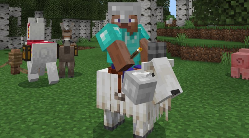 Riding a Goat