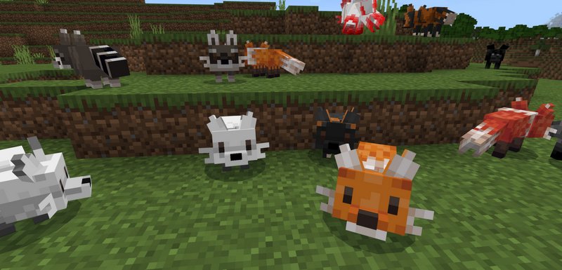 Beautiful foxes addon