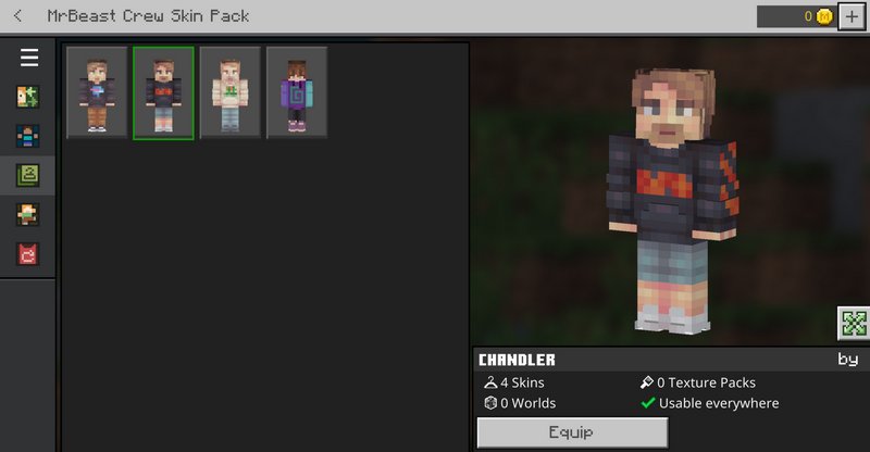 Mr.Beast crew skin pack