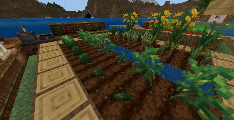 Growing crops