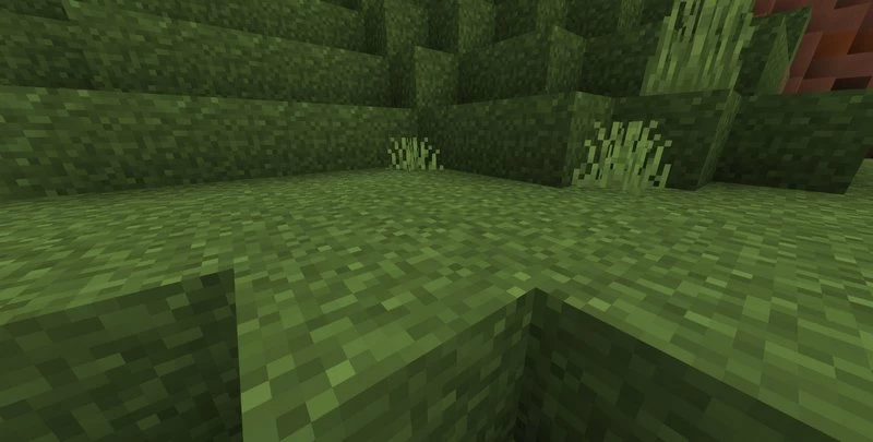 Full grass makes a block of grass whole from all sides