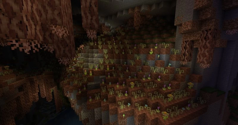 Underground biome