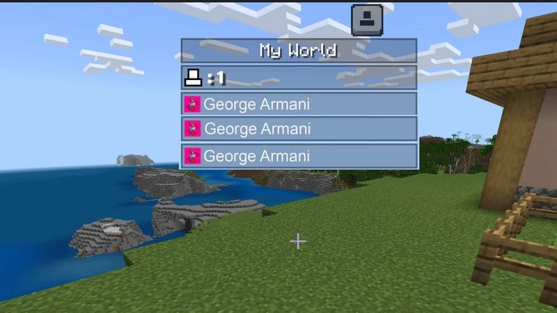 Playerlist in Minecraft