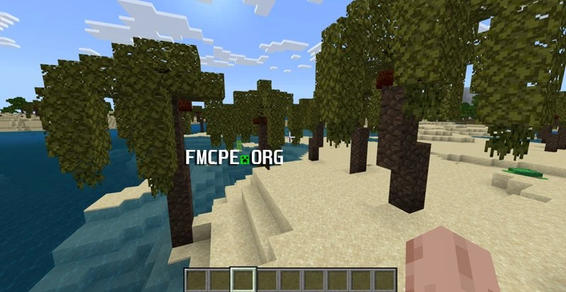 Tropical biome
