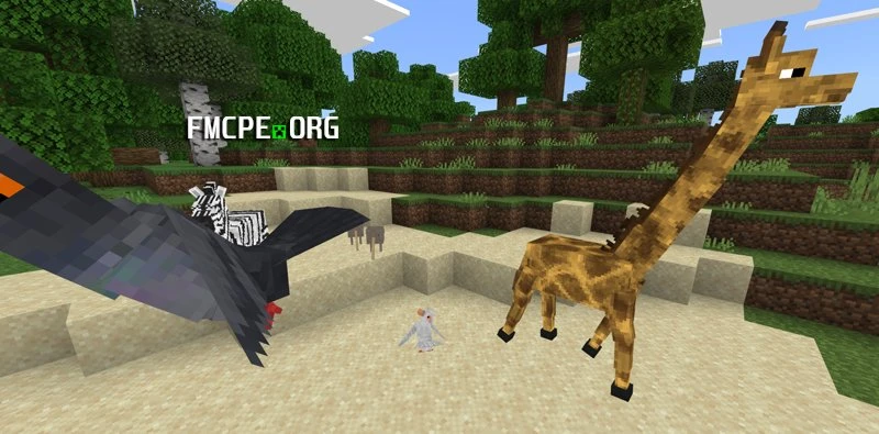 Giraffe