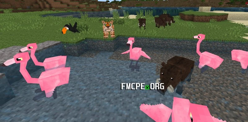Flamingo and boar