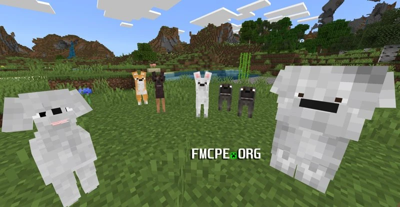 Large Breeds