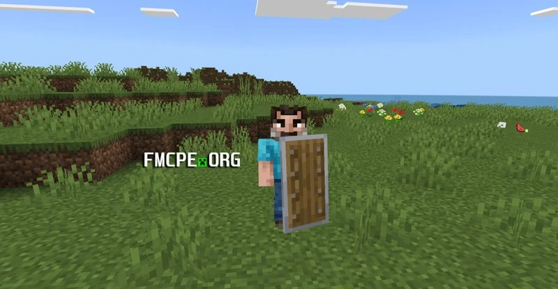 Holding a shield
