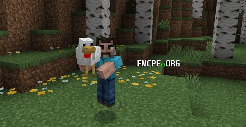 Steve carrying a chicken in his hands