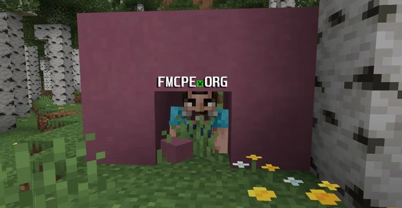 How to crawl in Minecraft