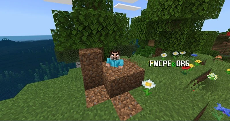 Standing in a middle of dirt blocks