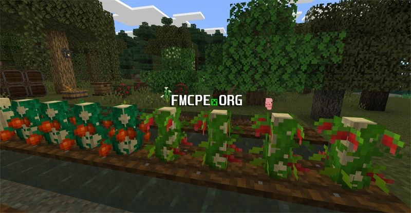 Tomatoes and pepper growing