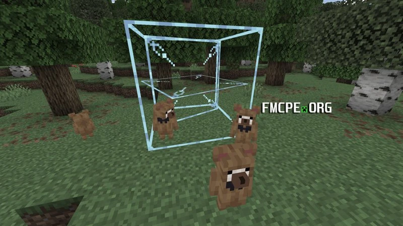 Cube scp