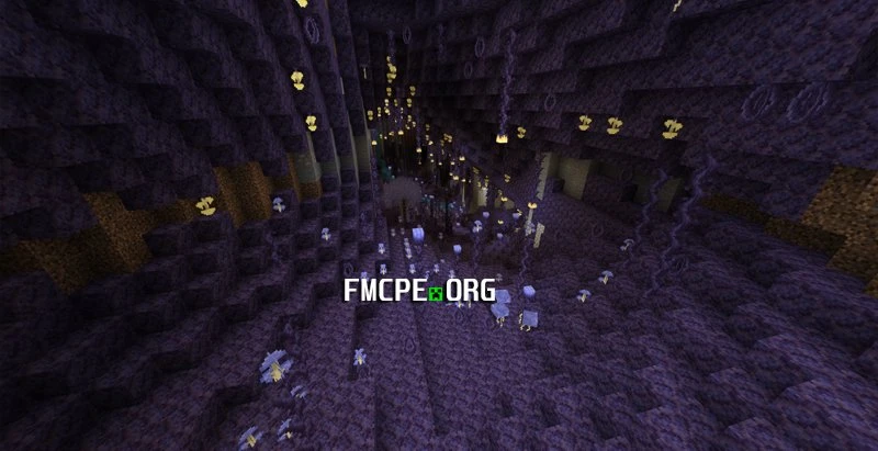 Mushroom Cave
