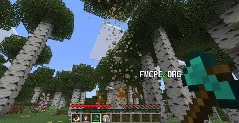Cutting the birch tree