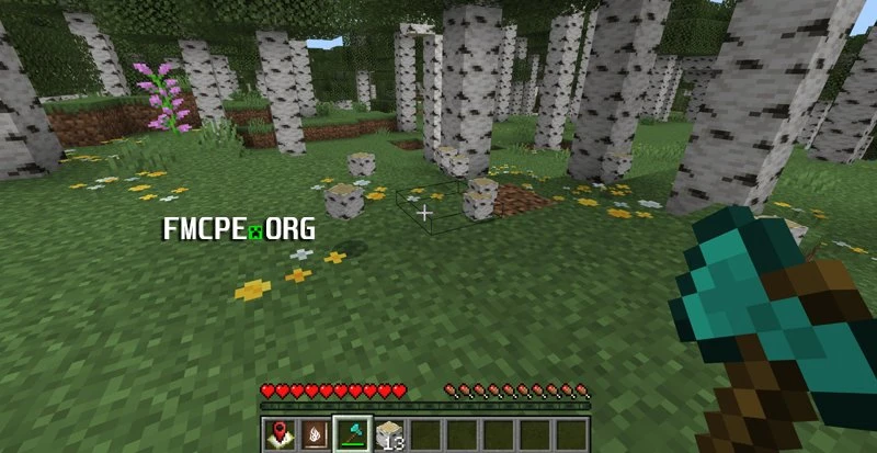 A bunch of birch blocks on the ground