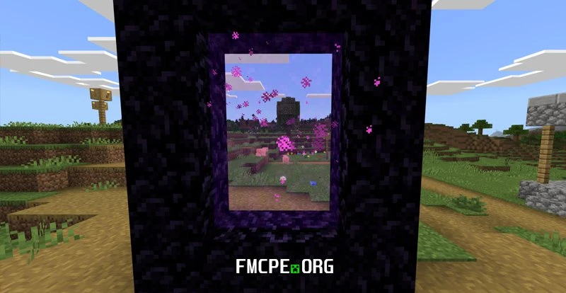 Transparent Nether portal