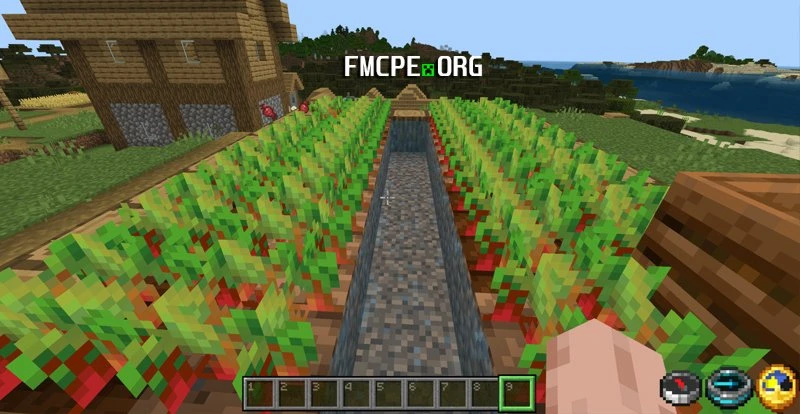 Shining crops
