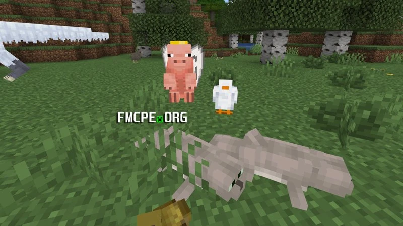 Flying pig