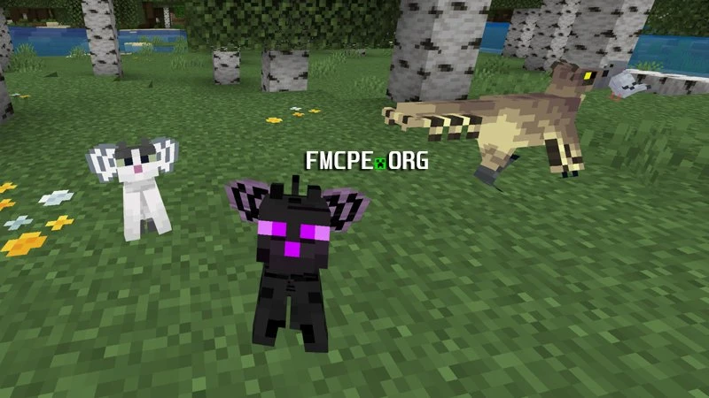 Ender cat