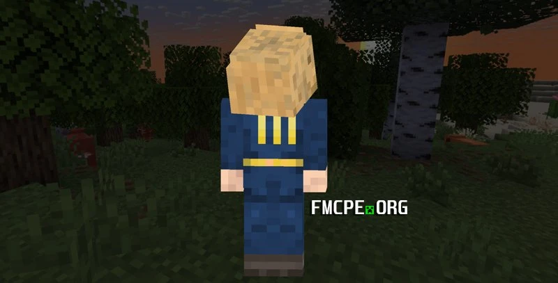Vault 111 woman skin