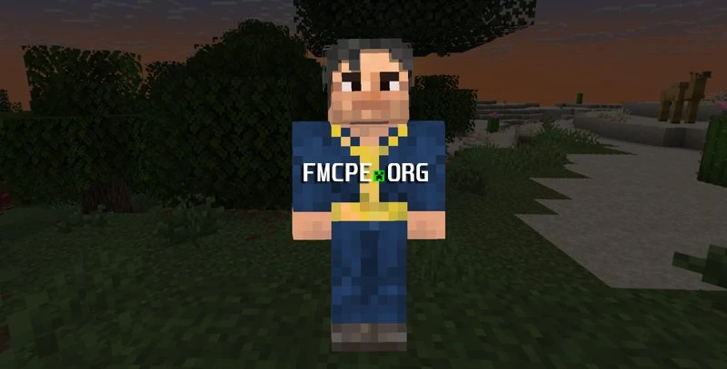 Fallout vault dweller