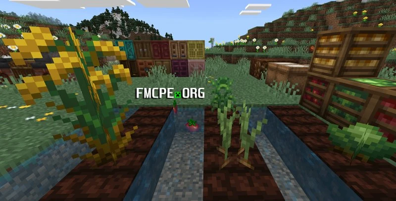 Growing crops in Farmer's Delight