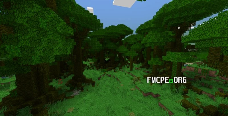 New forest biome
