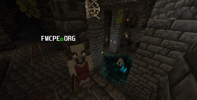 A new type of Illager you can meet in the underground dungeons