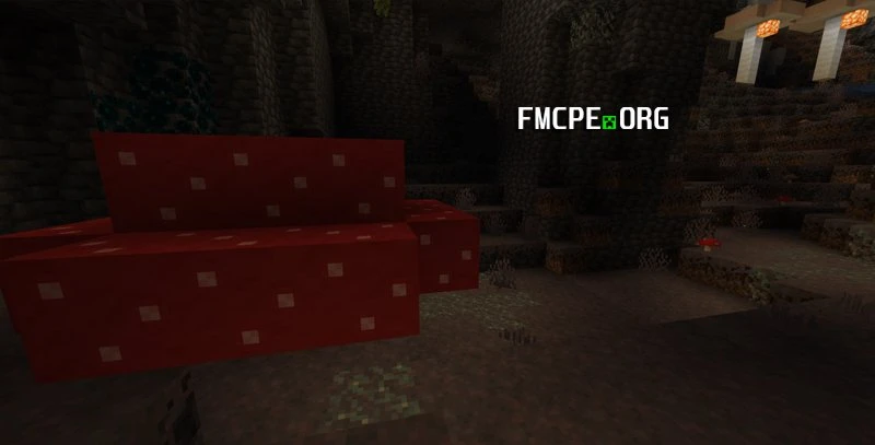 Underground giant mushroom biome