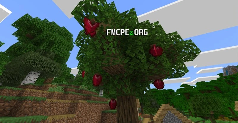 Apple tree