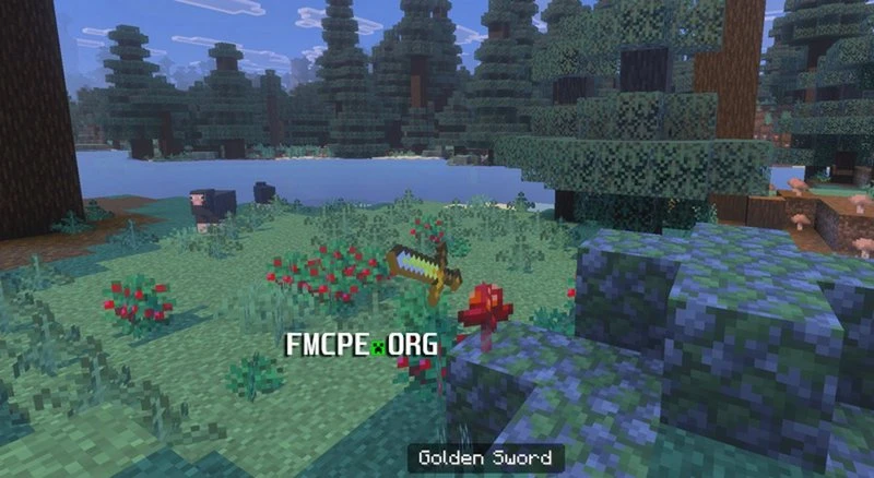You can see a player if you take an item into the hands