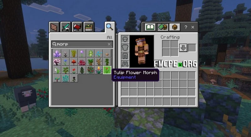 There are many items to transform into