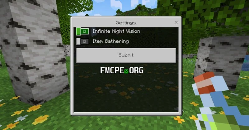 Extra options of the addon allows for a night view and item magnet