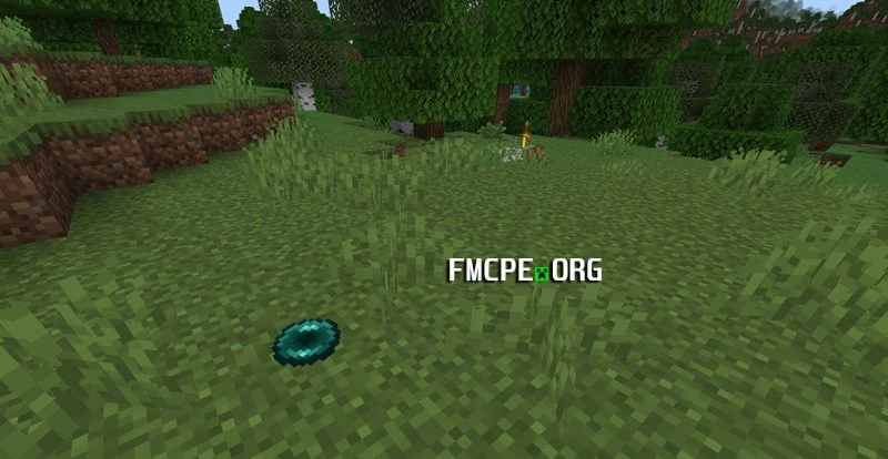 Ender Pearl loot on the ground