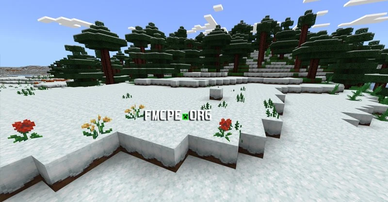 Tundra biome
