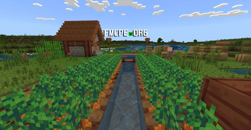 Village and a farm