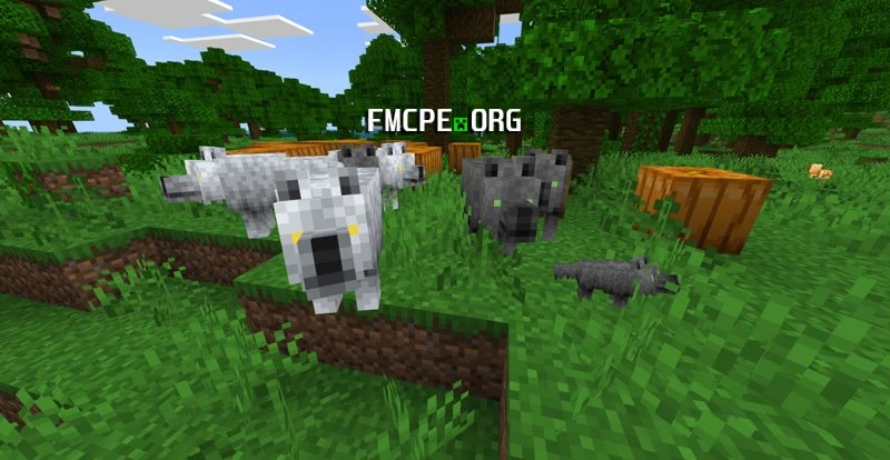 Direwolves
