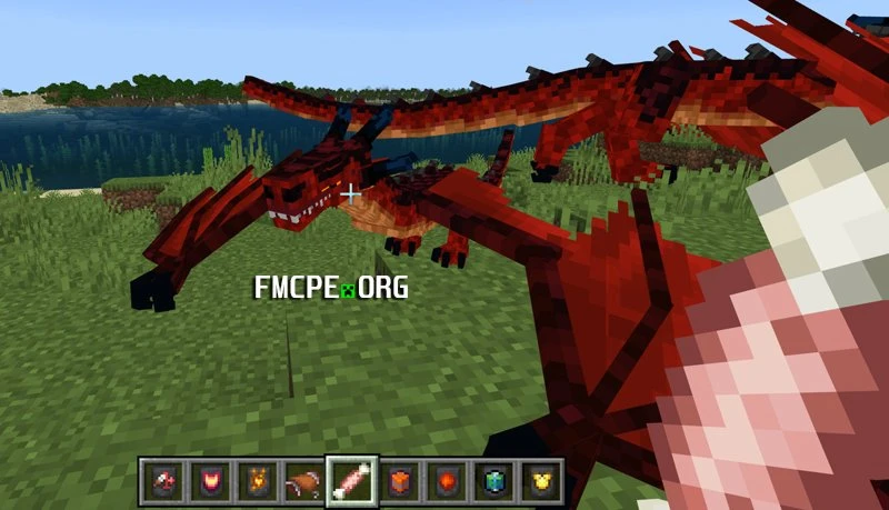 Taming a baby Wyvern