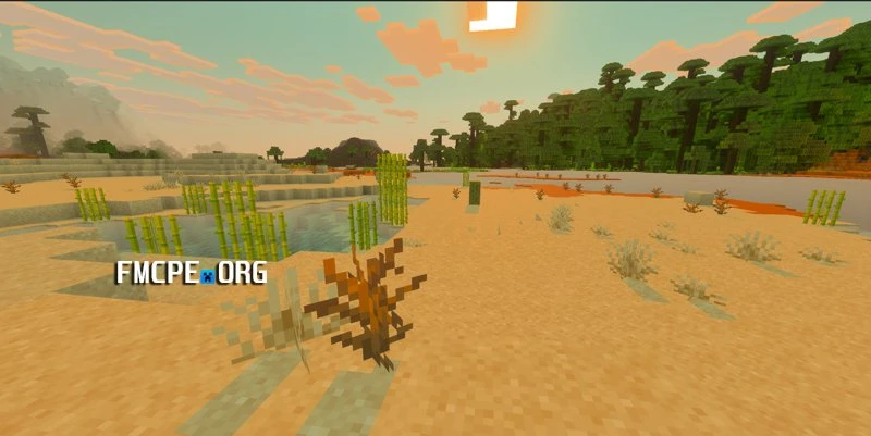 Desert Biome improvements
