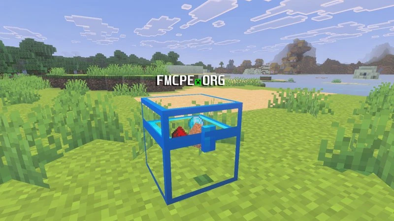 You can see the insides of the Crystal chest