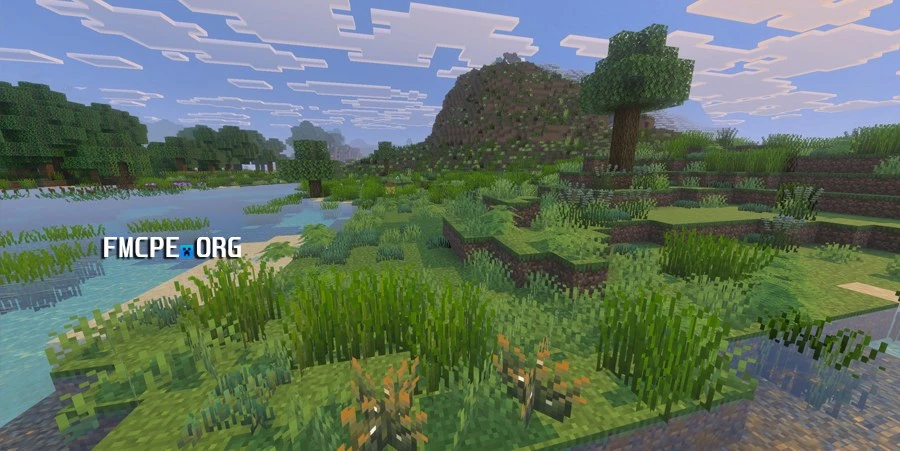 Dense plains vegetation